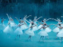 �. ����������. ��������� �����