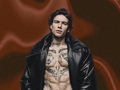 Xolidayboy