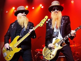 ZZ Cats. ZZ Top Tribute