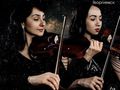 Art Music Orchestra -   