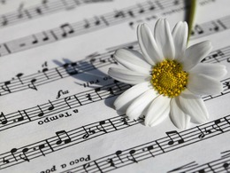 ������ ������ ����