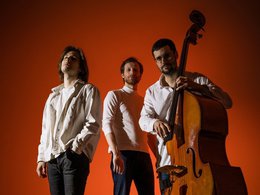 Illo.Trio. ����������������� ����-����