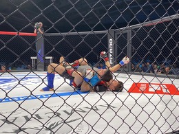   Fight Nights   2025