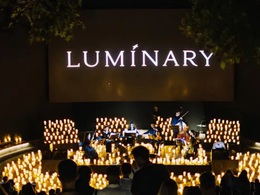 Luminary:     1000 